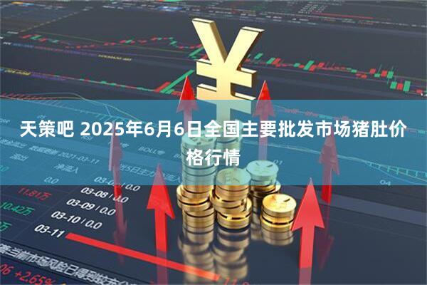 天策吧 2025年6月6日全国主要批发市场猪肚价格行情