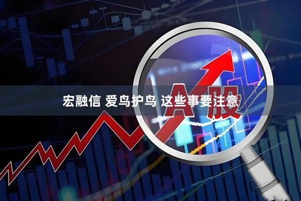 宏融信 爱鸟护鸟 这些事要注意