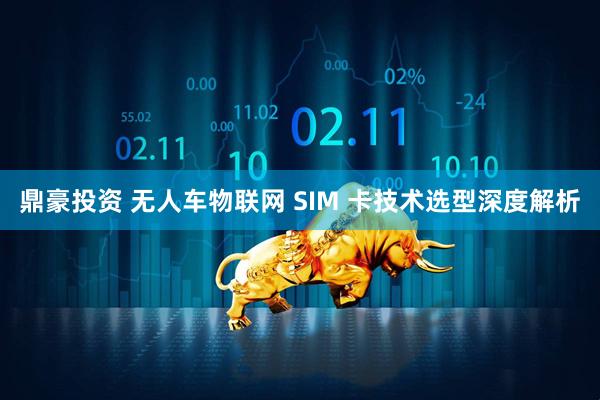 鼎豪投资 无人车物联网 SIM 卡技术选型深度解析