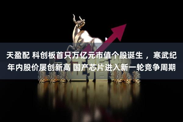 天盈配 科创板首只万亿元市值个股诞生 ，寒武纪年内股价屡创新高 国产芯片进入新一轮竞争周期